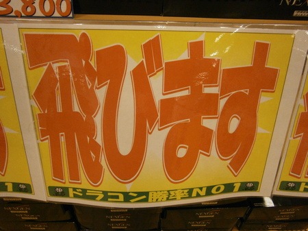 PB130010.JPG