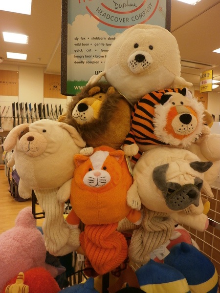 P1010109.JPG