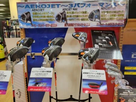コブラ23　しだ