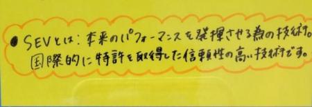 ＳＥＶとは