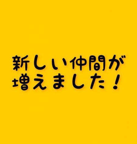 新しい仲間がふえました！