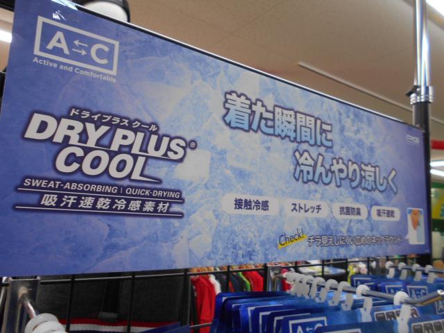 夏に絶対必要な・・・