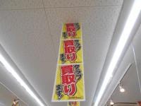 DSCN4502[1].JPGのサムネイル画像