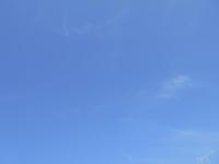 20190502160308-8a61584ee0f415bdda91b5e04a9ff4b4a39c0ff5.JPG