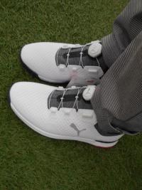 puma2.JPG