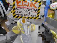 gomi2.JPG