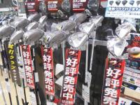 DSCN9519.JPG