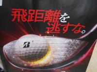 DSCN9520.JPG