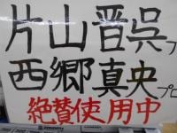 DSCN9523.JPG