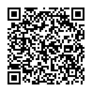 Susi QR.gif