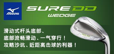 SURE DD WEDGE