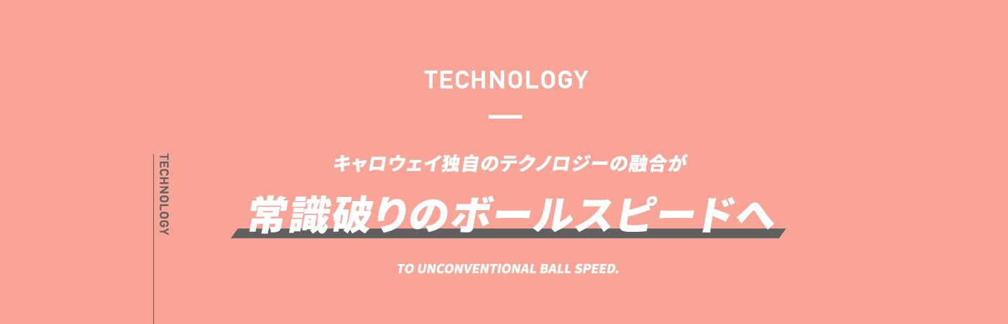 TECHNOLOGY 飛びの翼で、大空へ。アクティブウィング×リバウンドフレーム