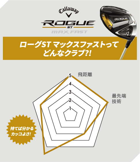 お使いのクラブをROGUEに買換える場合