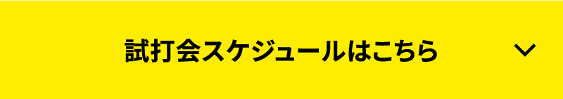 試打会スケジュールはこちら