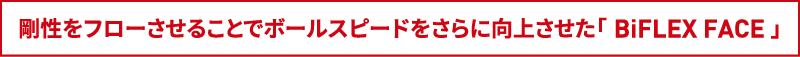 2段式にすることで空力性能をさらに向上させた「 New ActivWing 」