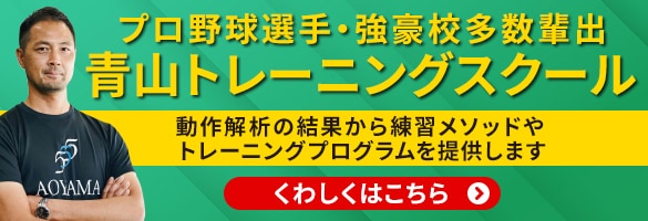 青山トレーニングスクール