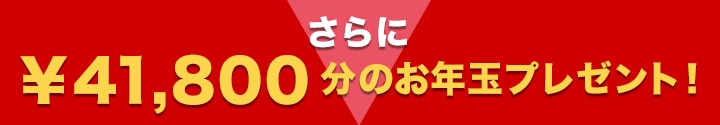 さらに￥41,800分のお年玉プレゼント！