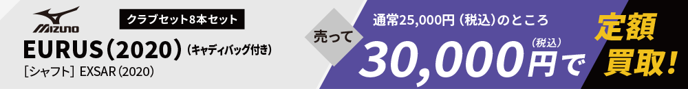 Mizuno - クラブ8本セット EURUS（2020）（キャディバッグ付き）