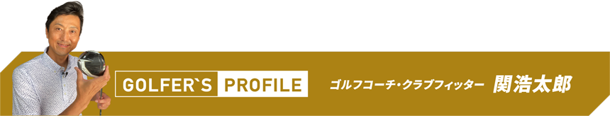 stealth gloire