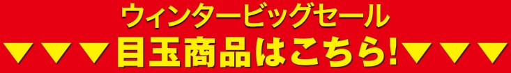 ウィンタービッグセール目玉商品はこちら