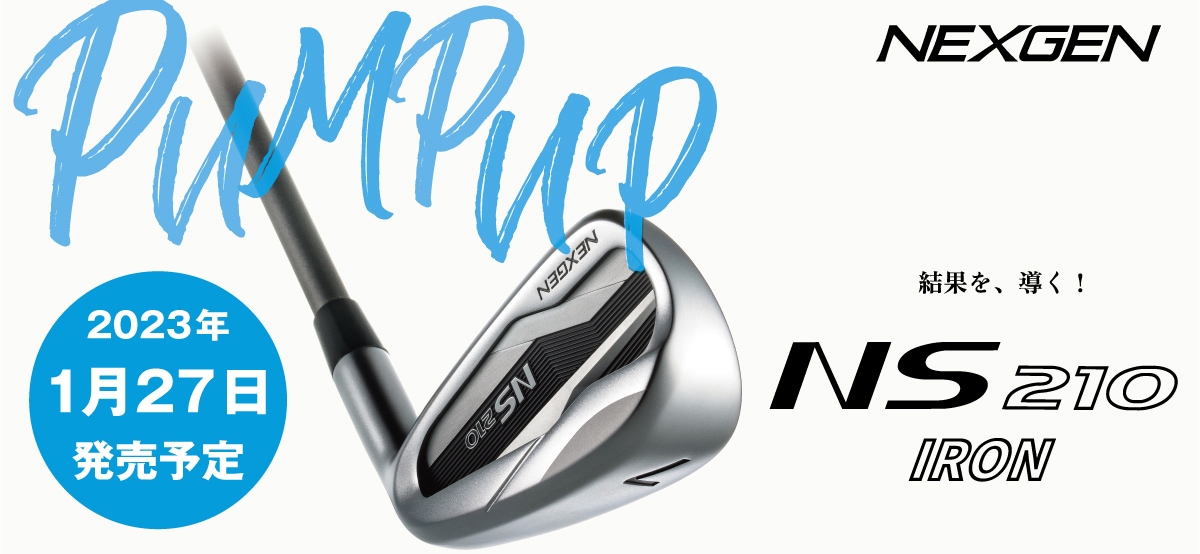 NEXGEN NS210 IRON
