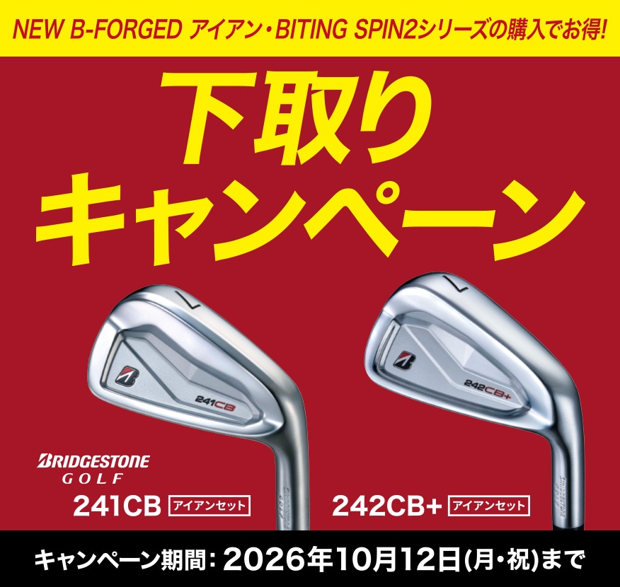 定額買取キャンペーン