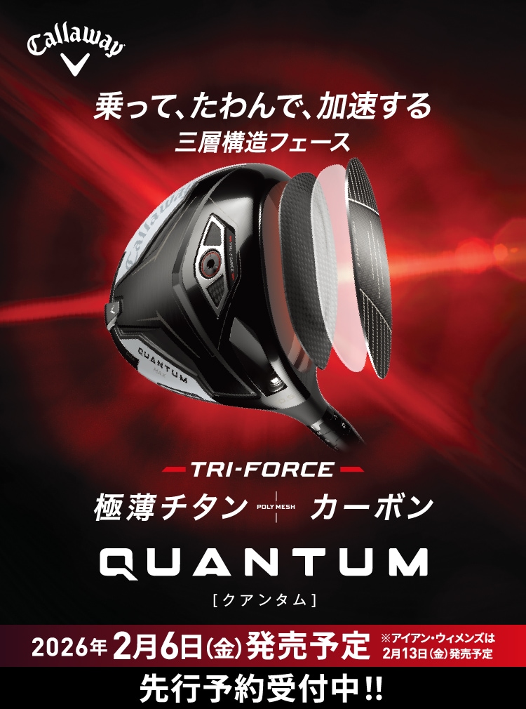 2026�N2��6���i���j�����\��