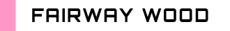 FAIRWAY WOOD