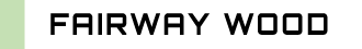 FAIRWAY WOOD