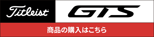 �e�C���[���C�h GTS
