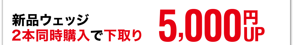 �V�i�E�F�b�W2�{�����w����