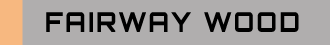 FAIRWAY WOOD