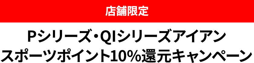 PV[YEQiV[YACAX|[c|Cg10%ҌLy[