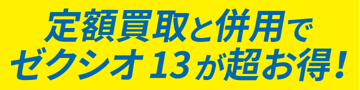 zƕpŃ[NVI13I